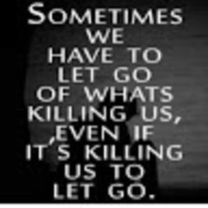 Meet your Posher, Donna m.